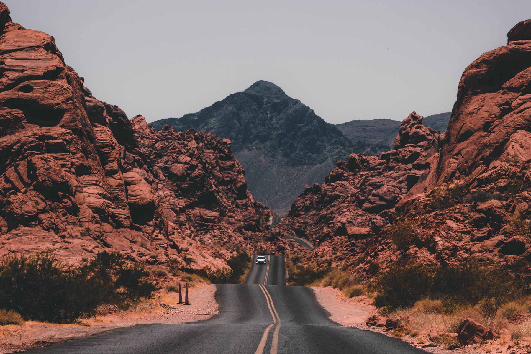 Article: “How I Made my Fortune in Coaching”